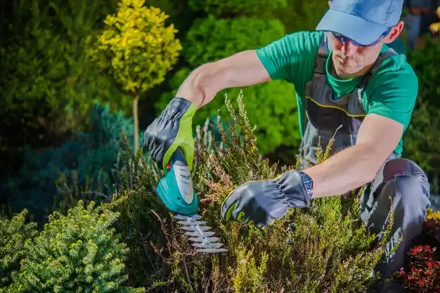 landscaping services Village of Four Seasons